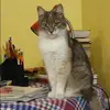 Отзыв от Антонина Кондратова